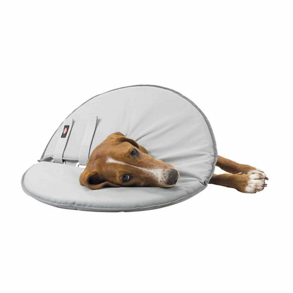 V4HA35846C85F09026B89B16EF020A79308R5331626P9