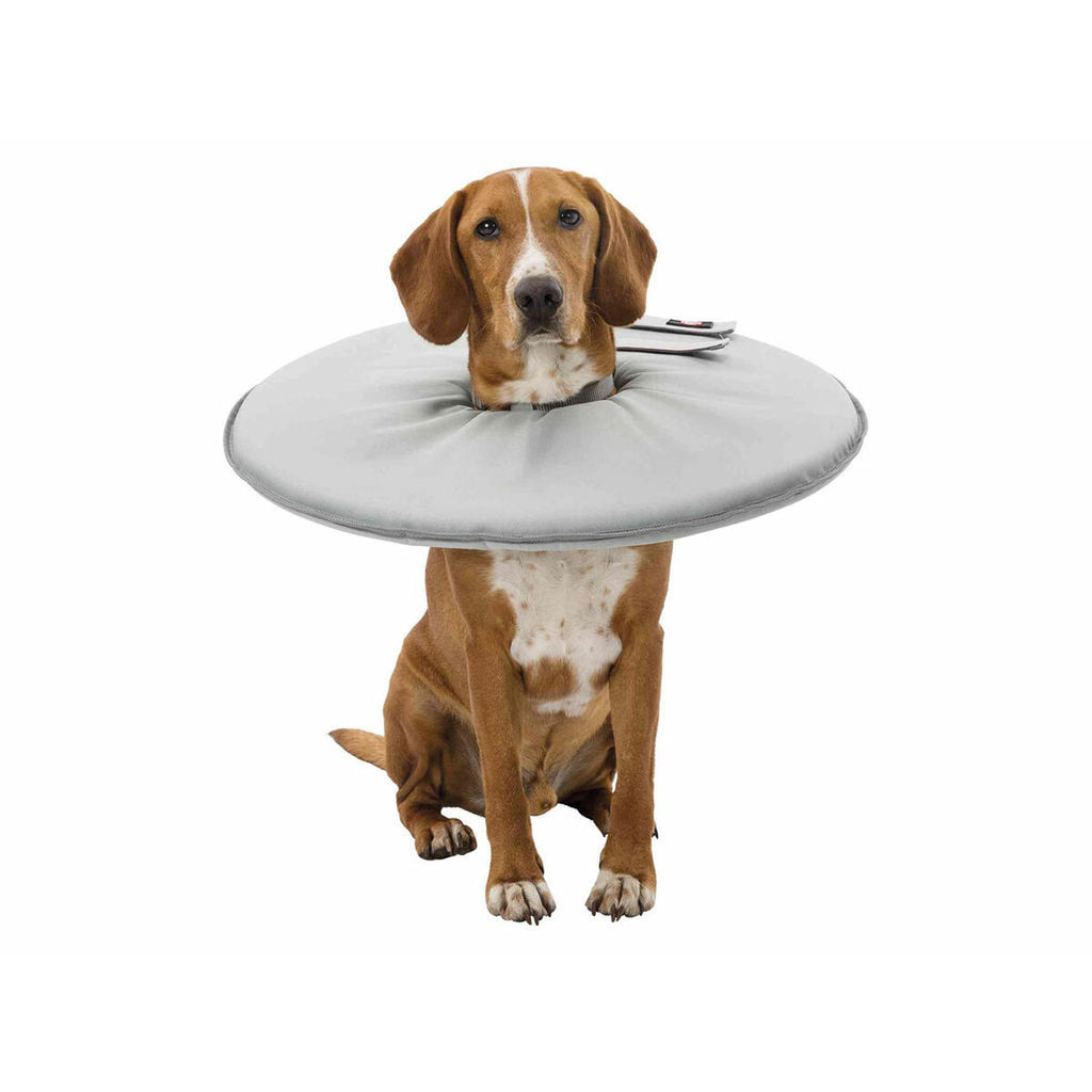 V4H200F5A7875F40431FC935594CEFE268CR5331630P9