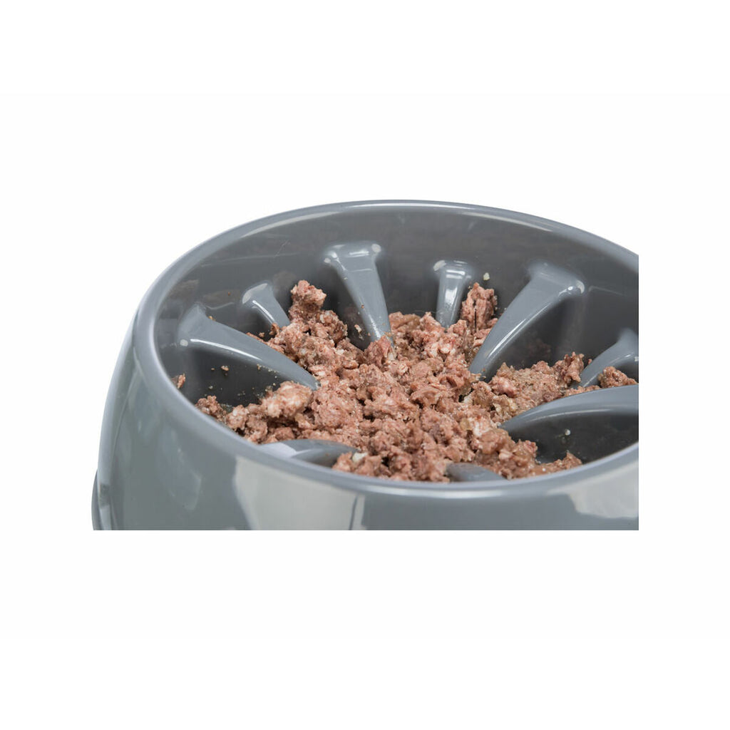 V4HC19D4267CB4669867D2564F431D62A82R5342259P9