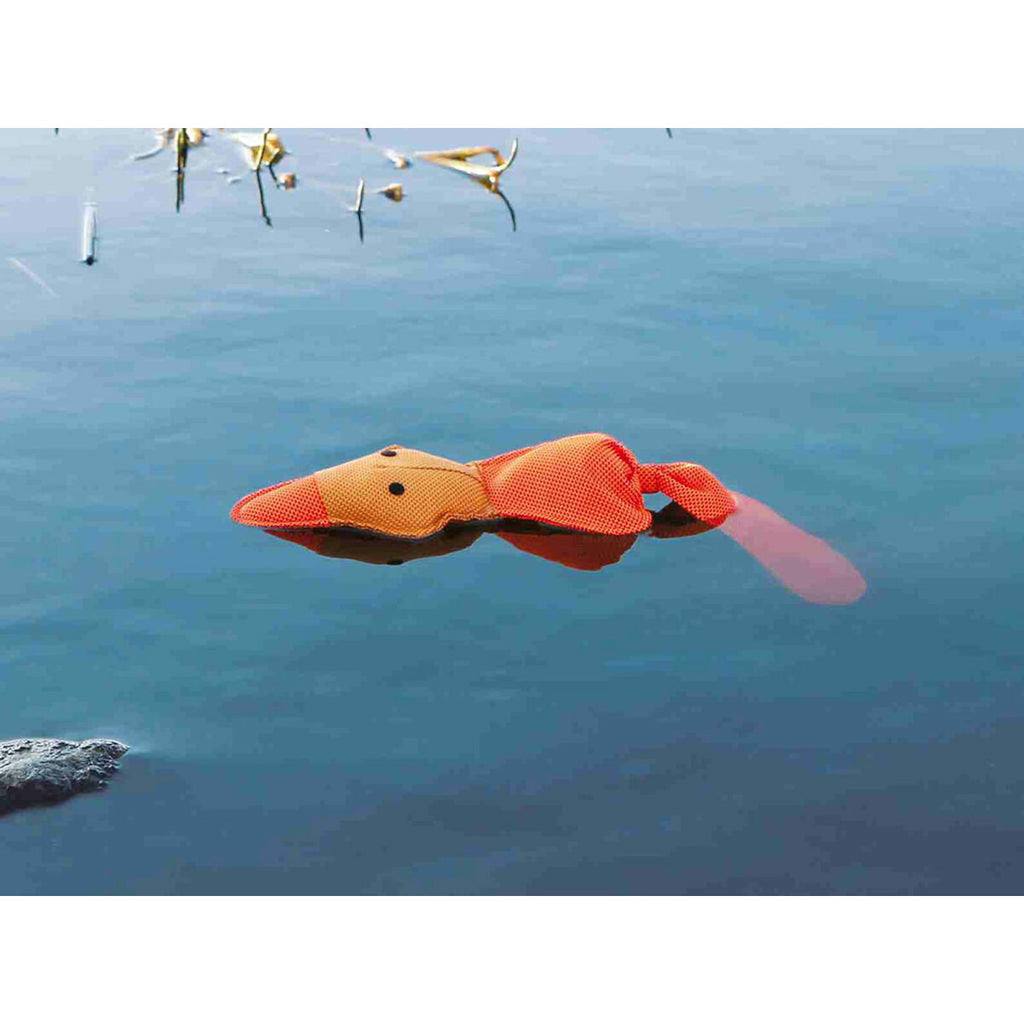 V5H41CF1B2B4C02ED0CAD561E3801D6944CR5431703P2