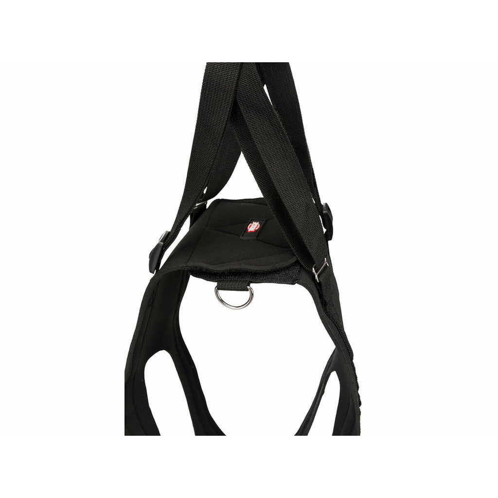 V4HCD24233AFF28395004B3C0254E0E28F2R5450702P5