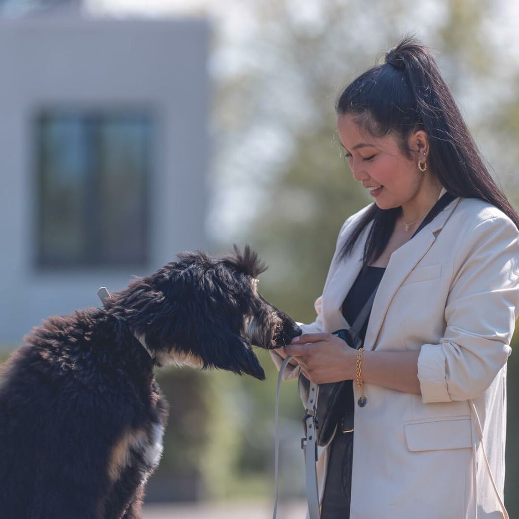 V4H23A8D68EC979CFCCE80CC2063E4545E5R5330439P6