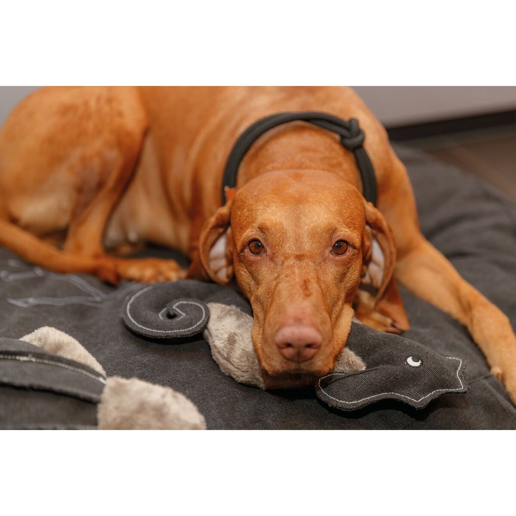 V4H346F4435A46ECBB52747AFBCDDE8DC9DR5330776P4