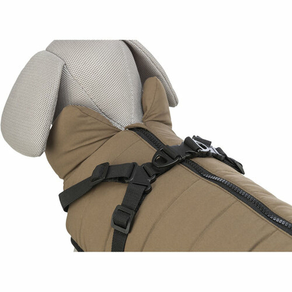 V4H4AEEE302906A485179614A7DE8E6BC65R5349489P8