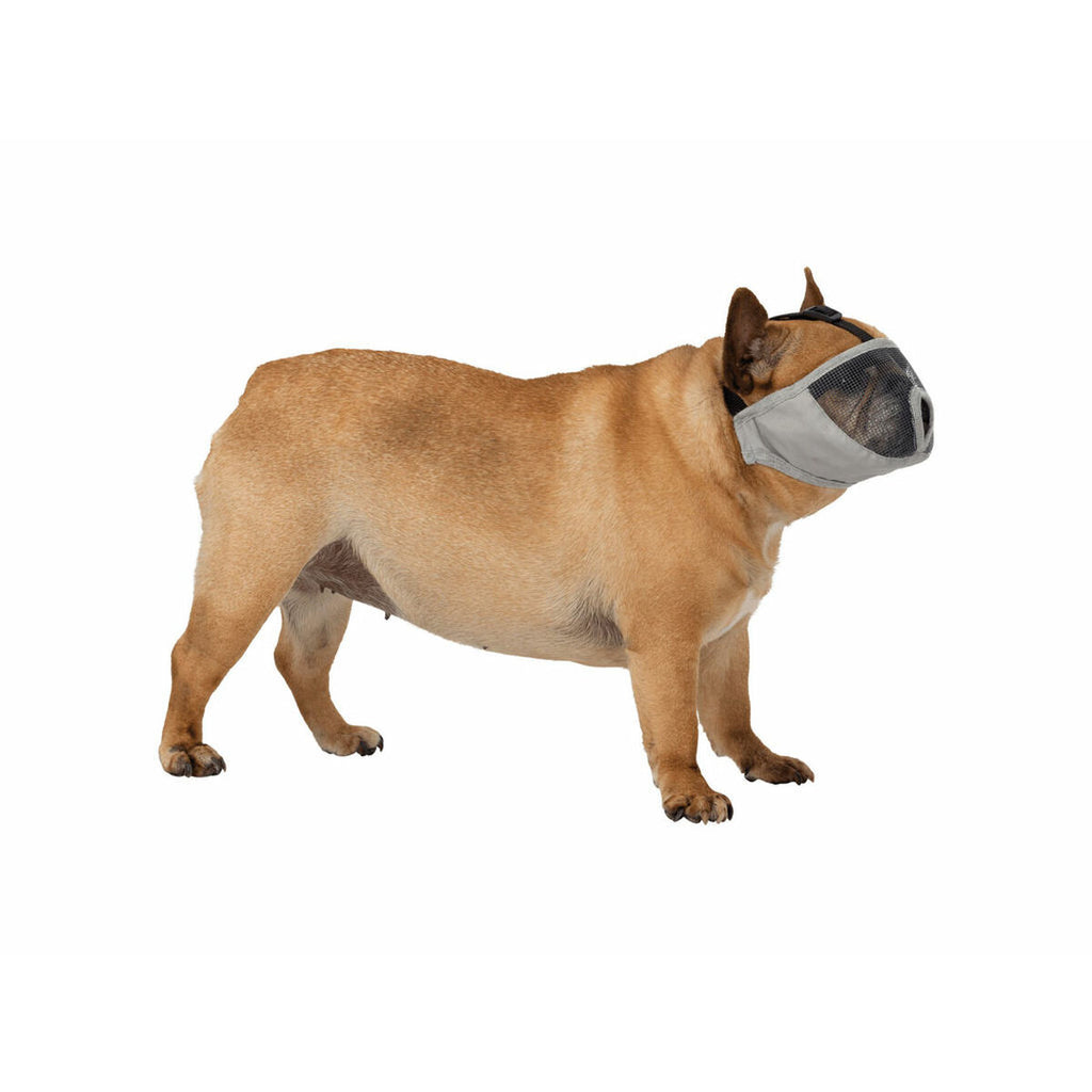 V4HA7F17AB9C2868BA37A49DF32D52DB43CR5070672P3