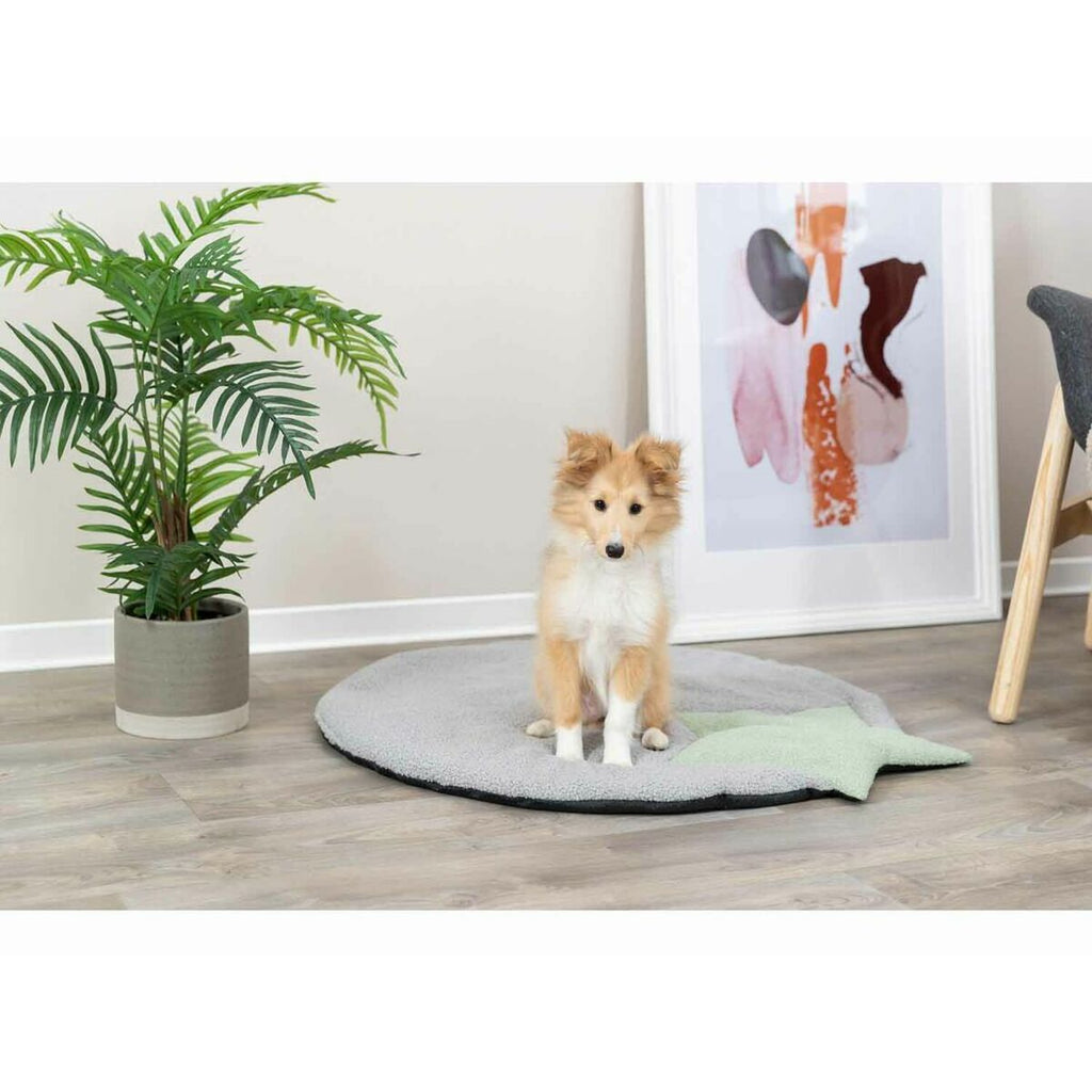 V4H3EB142147509C2D80B0864AD7E25CB17R5483315P7