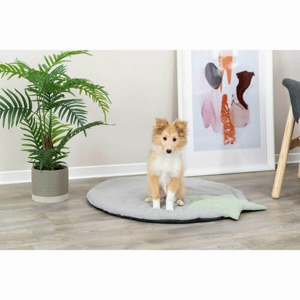 V4H230D84525CD9BBE0792E3C4F26B594F2R5483317P8