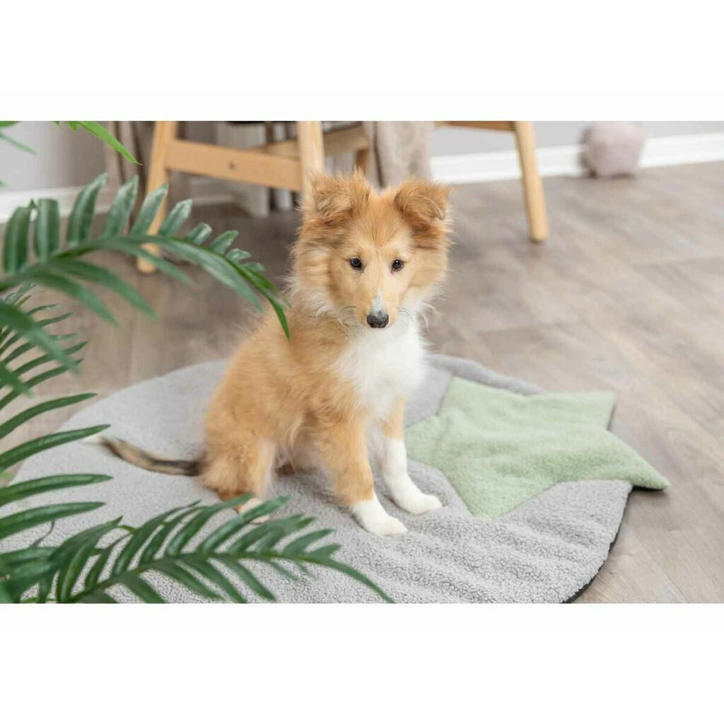 V4H91D12375E7AAE9AD68F2E1E61D7CEC94R5483320P9