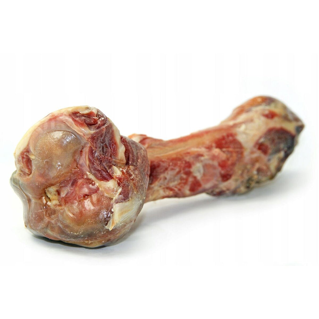 V2H2B9DE55F90BD5A106EE61C2ED2262F71R5624169P3