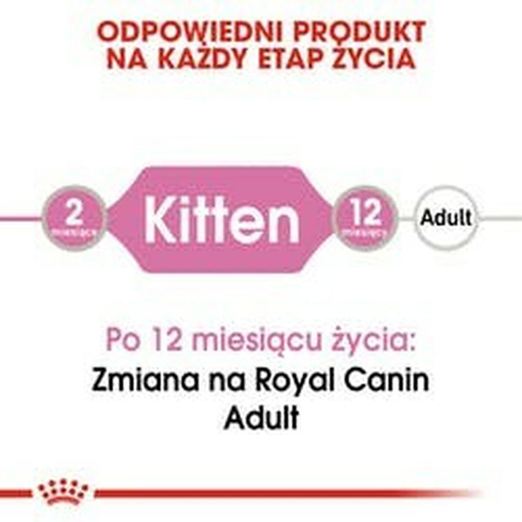 V5HD6E1E58AD28FFFBC4A3600336FDDCA4CR3291692P2